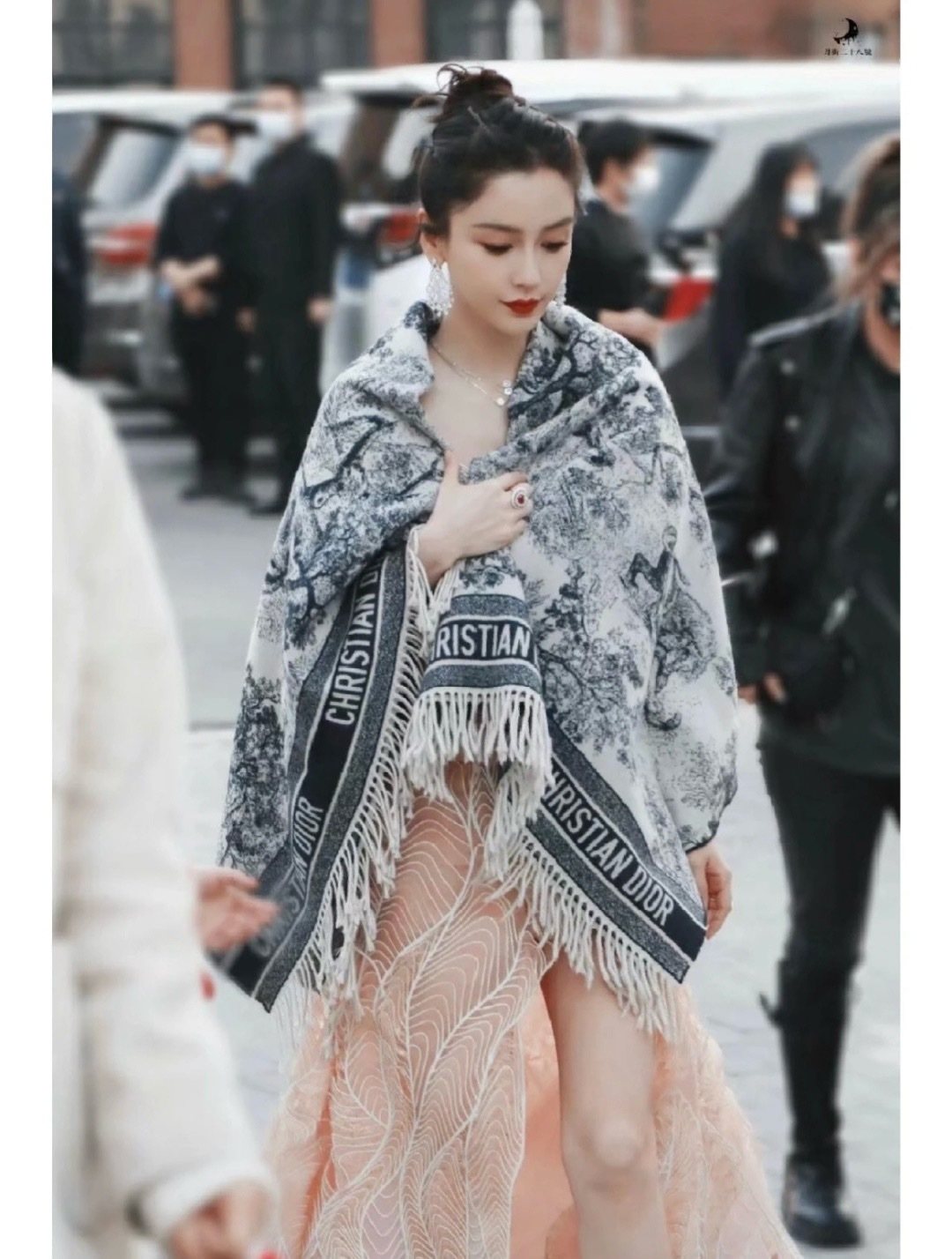 Dior Animal Jacquard Fringed Scarf — model
